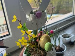 49200196211383957747550367688217948896946565n